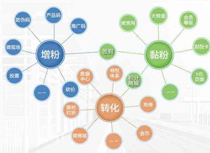 淘寶托管店鋪如何以產品差異化驅動軟件開發與銷售增長